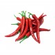 DOĞAL ACI ŞİLİ BİBERİ ACI BİBER HOT CHILEAN PEPPER 100 AD TOHUM