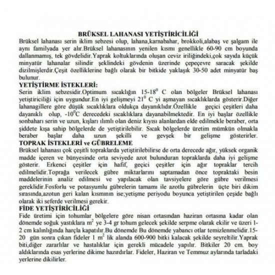  YERLİ BRÜKSEL LAHANASI TOHUMU 180 ADET