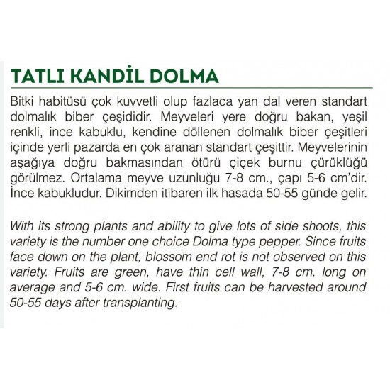 ATA TOHUMU YERLİ DOĞAL TATLI KANDİL DOLMA BİBERİ 1000 ADET  TOHUM  