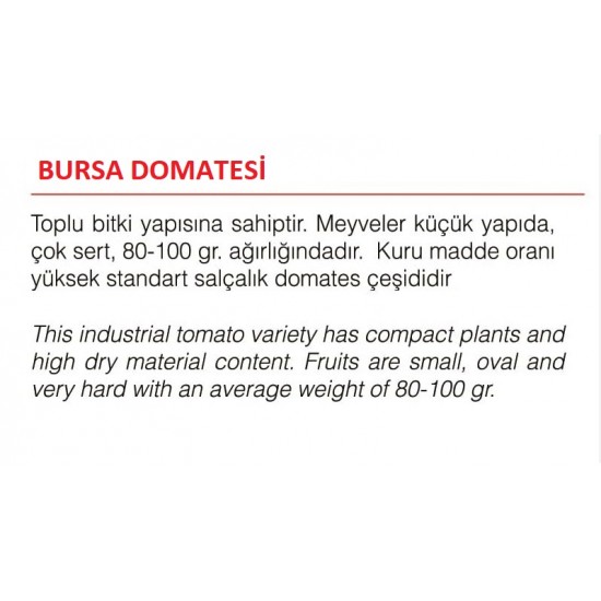 ATA TOHUMU DOĞAL YERLİ BURSA DOMATESİ 1000 ADET TOHUM  