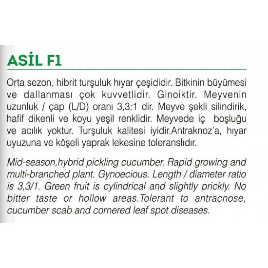 ASİL F1 HYBRİT SALATALIK KORNİŞON HIYAR TOHUMU 100 Adet