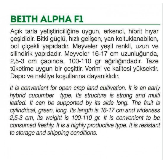 BEITH ALPHA SALATALIK HİBRİT HIYAR TOHUMU 30 ADET  