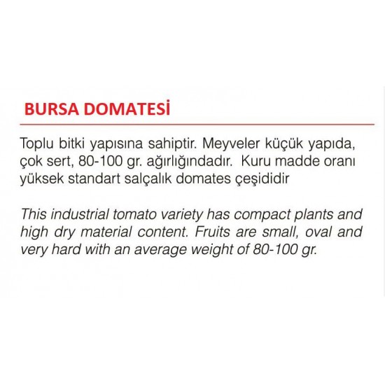 ATA TOHUMU YERLİ DOĞAL BURSA DOMATESİ 100 ADET TOHUM