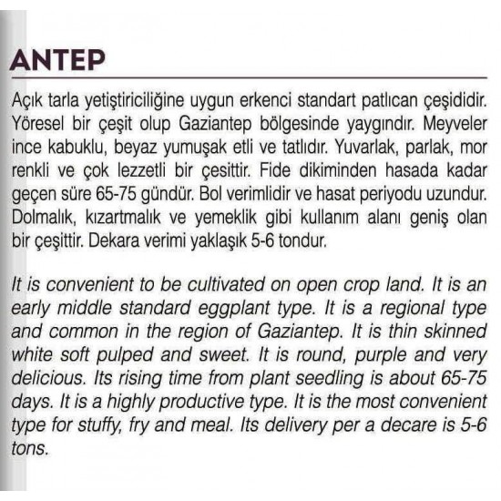 ATA TOHUMU YÖRESEL DOĞAL TOPAK PATLICAN ANTEP 100 AD TOHUM