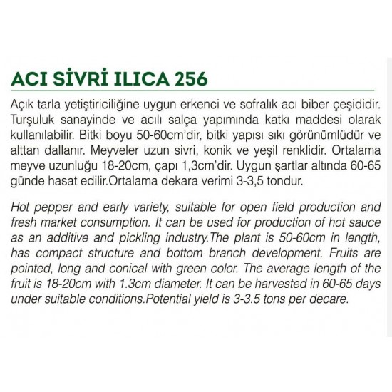 ATA TOHUMU YÖRESEL SİVRİ BİBER ACI ILICA 100 ADET TOHUM